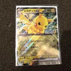 JR東日本スタンプラリーポケモンカード ジャンボカード