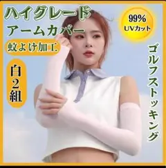 Item thumbnail for item 63fd9251-c782-4ad1-9f02-41ed548b6458