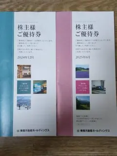 東急不動産ホールディングス 宿泊券 2024年12月・2025年6月