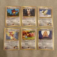 ホーホー ヨルノズク キョウのポッポ ピジョン ヒメグマ わるいリングマ