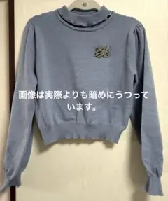 ems excite エムズエキサイト 長袖 ニット