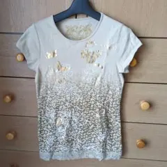 Item thumbnail for item be37bdf1-7c01-4314-adf0-0f3a4a8da8ec