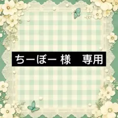 様　專用