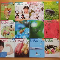 キンダーブック しぜん 絵本 12冊セット
