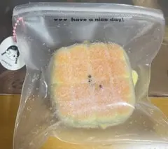 Item thumbnail for item c08d723b-847f-4368-b791-27f9df390724