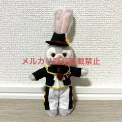 ぬいぐるみバッジ用コスチューム　ステラルー♡
