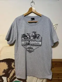 Item thumbnail for item b23777f2-1677-432d-a4f6-95f6480d12c9