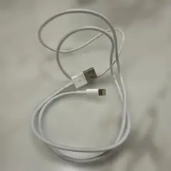 USB Lightning充電ケーブル ホワイト