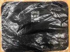 Item thumbnail for item 766db173-e5ff-44b8-a324-e275920bae12