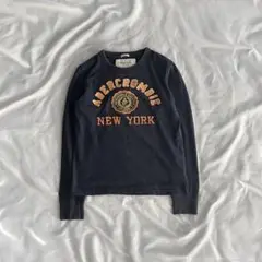 90s vintage ABECROMBIE ピチロンt ノームコア ストリート