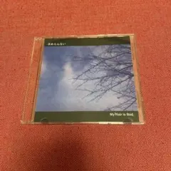 My Hair is Bad 2nd デモ 決めらんない My Hair is Bad デモ 2枚セット 決めらんない マイヘアーイズ