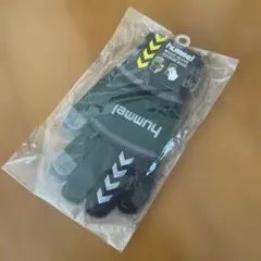 Item thumbnail for item 6303144a-40f7-493d-8f66-cf0770127e2a