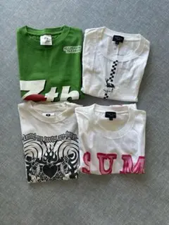 サマソニ2013】SUMMER SONIC Tシャツ M メタリカ MUSE - メルカリ