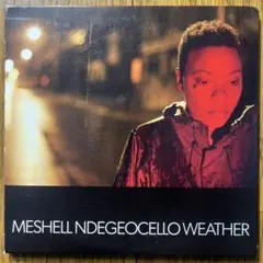 Meshell N’degeocello “Weather”