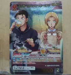 ※傷あり！【哀色の宿命】 赤井秀一＆ジョディ・スターリング MRP