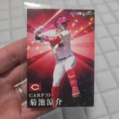 プロチカード 菊池です。 cardya2_zc2024-pl-09