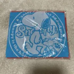 スヌーピー ランチョンマット　2枚セット