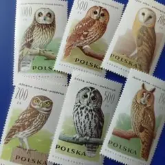 9634 外国切手 ポーランド 1990年 フクロウ 6V