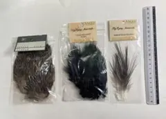 Item thumbnail for item c8f95279-467c-4090-8b9d-8f1c6c527822