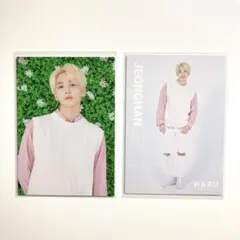 SEVENTEEN ジョンハン トレカ HARU