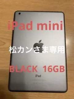 APPLE iPad mini 16GB アップル　アイパッド　初心者向け！