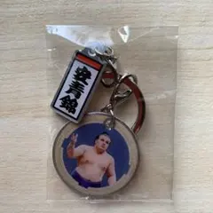 Item thumbnail for item 5c1ad1b5-d473-4711-8d3e-673597654604