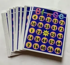 HANAYAMA ビンゴカード 25枚セット　日本製
