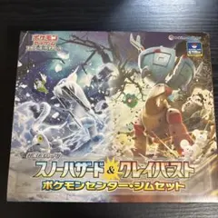 スノーハザード&クレイバースト　ポケモンセンター•ジムセット