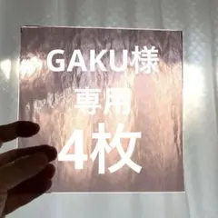 GAKU様 リクエスト 4点 まとめ商品