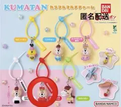 KUMATAN クマタンカラフルマルチチャーム