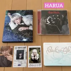 &TEAM Back to Life ソロ盤ハルア　通常盤月狼　ミニCD トレカ