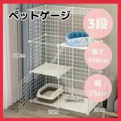 Item thumbnail for item 94a3b421-f754-4b52-9558-7b78675a6311