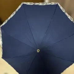 Item thumbnail for item 2c5c3d6f-c915-4e66-bcb8-e13847504b13