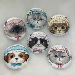 Item thumbnail for item 00dc645b-e900-4876-8cb9-02a625f6405b