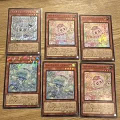 マルチャミー・フワロス　 ニャルス　プルリア　セット