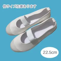 新品未使用 バレエシューズ 上履き 上靴 学校 白 無地 入学準備 22.5