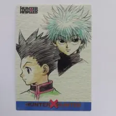 2026年最新】HUNTER×HUNTERカードダスマスターズ初版ゴンカードの人気