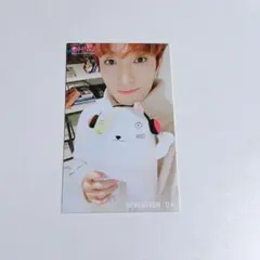 SEVENTEEN ドギョム ぬいぐるみ 会場限定HMVトレカ