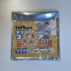 ハイキュー アクリルminiフィギュア 第1弾 ファンパーク 天童覚