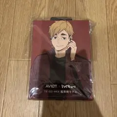 AVIOt x ハイキュー!! TE-Q3-HK4