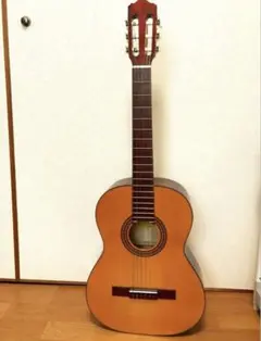 クラシックギター 6弦 ケース付き - メルカリ