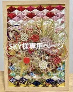 SKY様専用ページ