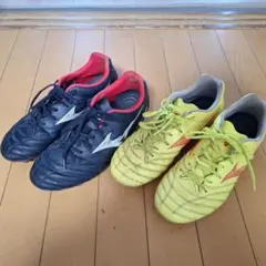 MONARCIDA NEO スパイク 25センチ 色違い2足セット