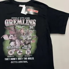 Item thumbnail for item 7ad5c897-a787-4d37-9feb-6492269eaf4e