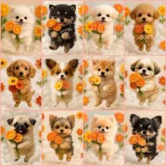 新柄‼️犬柄　12枚パネル生地　ふわりわんこ