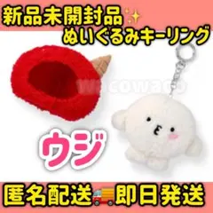 miniteen ICECREAM ポップアップ ぬいぐるみ キーリング ウジ - メルカリ
