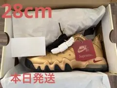 Supreme × Nike SB Air Max2CB94LowSP 28cm - メルカリ