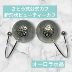 SUWADA ネイルケア用具 ステンレス製 ケース付き スワダ ゴールド
