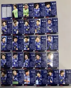 ポテトチップス　サッカー日本代表チーム2024 カード　レギュラーカード　セット