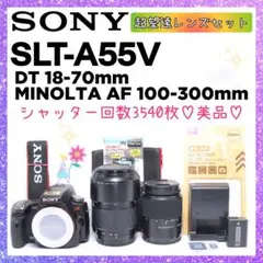2025年最新】α55 SLT-A55Vの人気アイテム - メルカリ